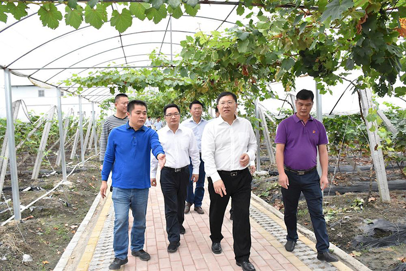 张广宁到我县调研指导精准扶贫和新农村建设工作，强调 把产业发展摆在扶贫工作的突出  ...