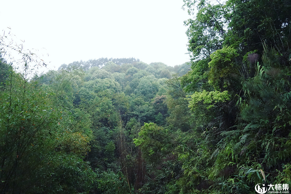 大山的春天